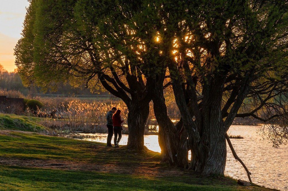 Фотография автора arhi-