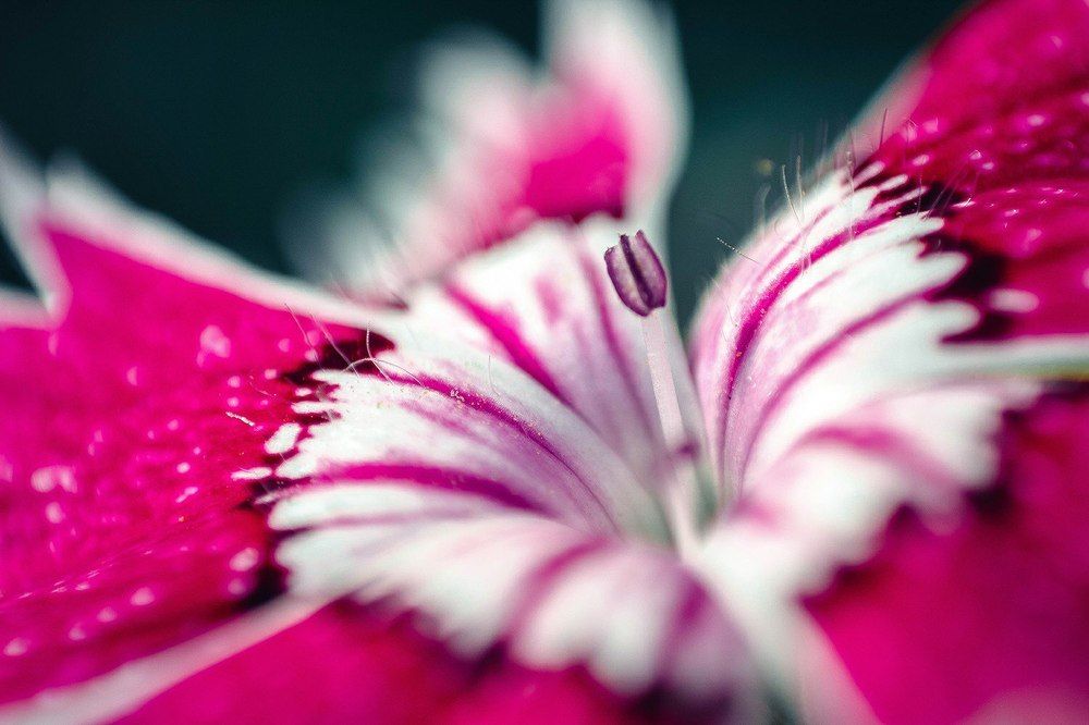 Photograph by Анастасия