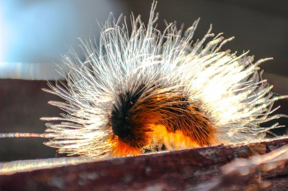 Photograph by Анастасия