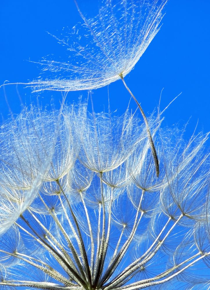 К полёту готов