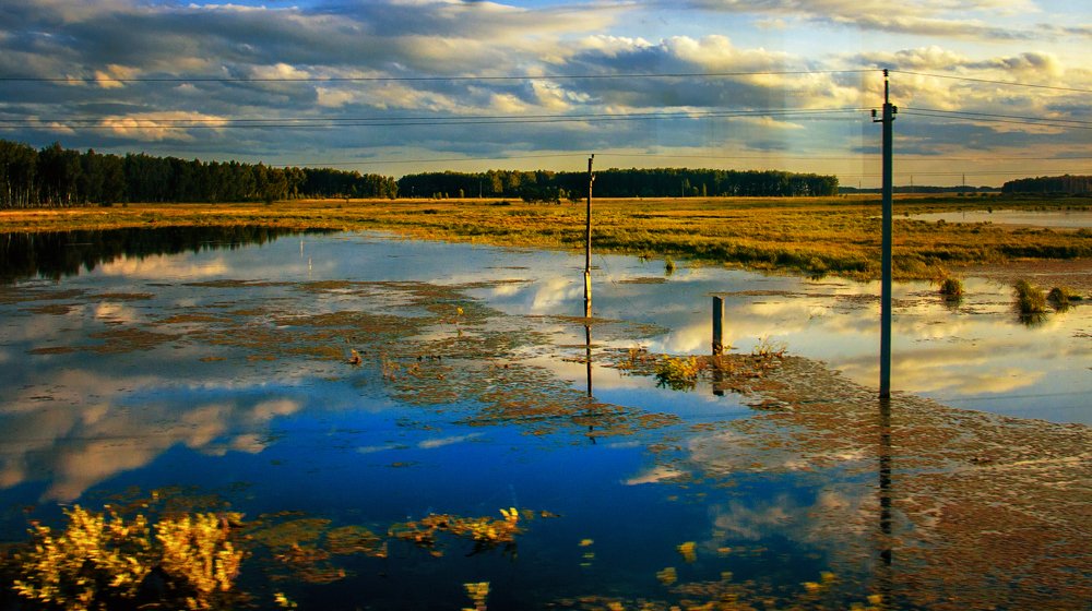 Смена цветов