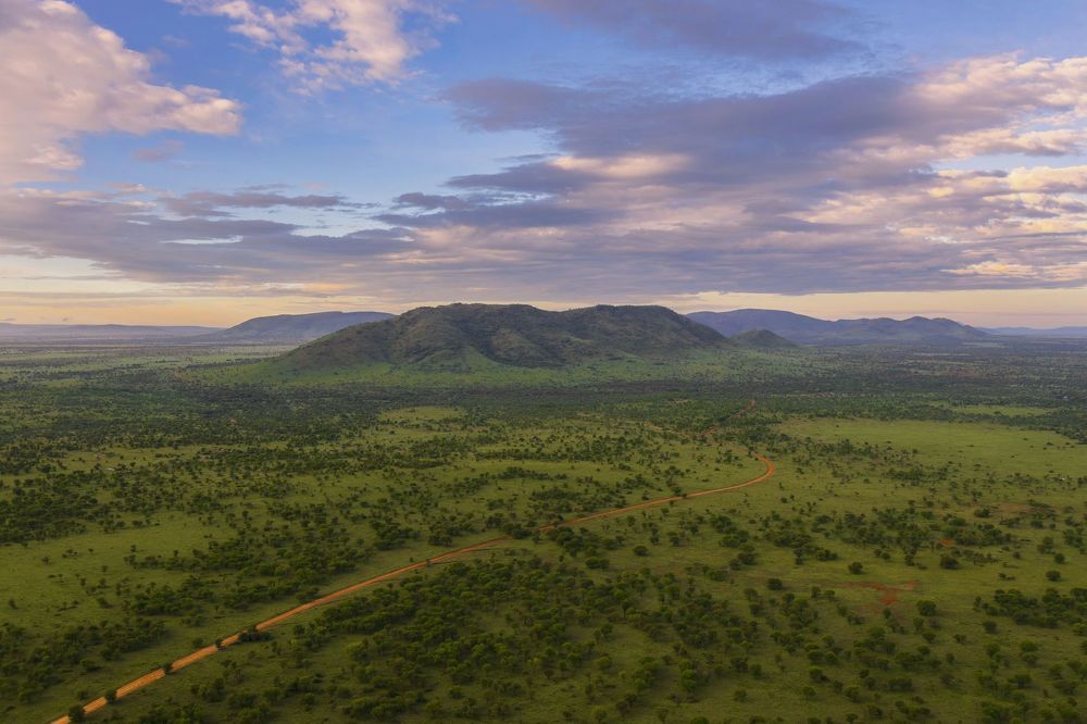 Good morning, Serengeti
