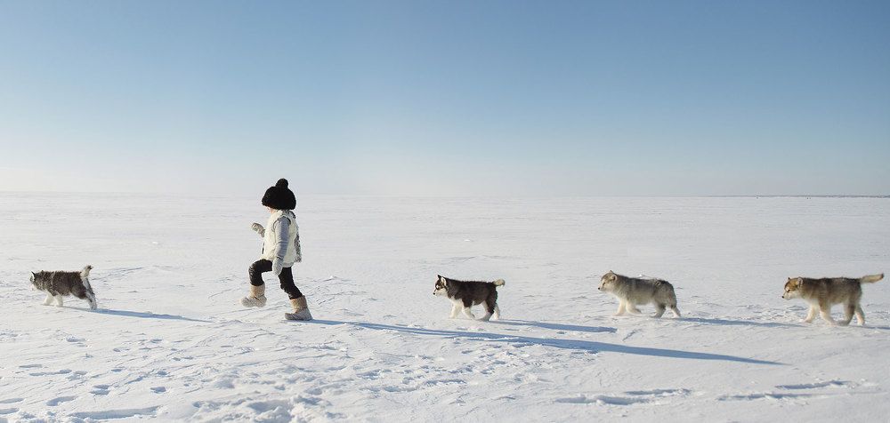 Без названия
