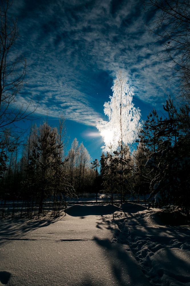 Зимнее сияние