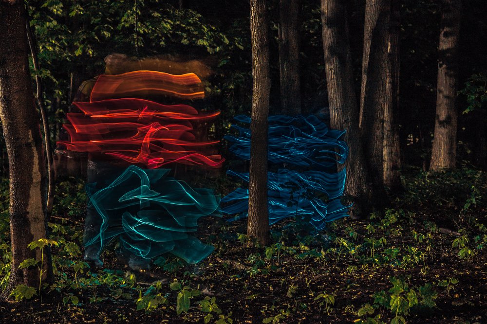 Таинственный лес