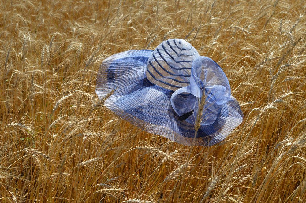 Ты о чём поёшь, золотая рожь...