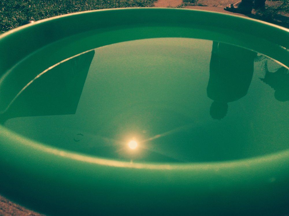 Life in a Bucket