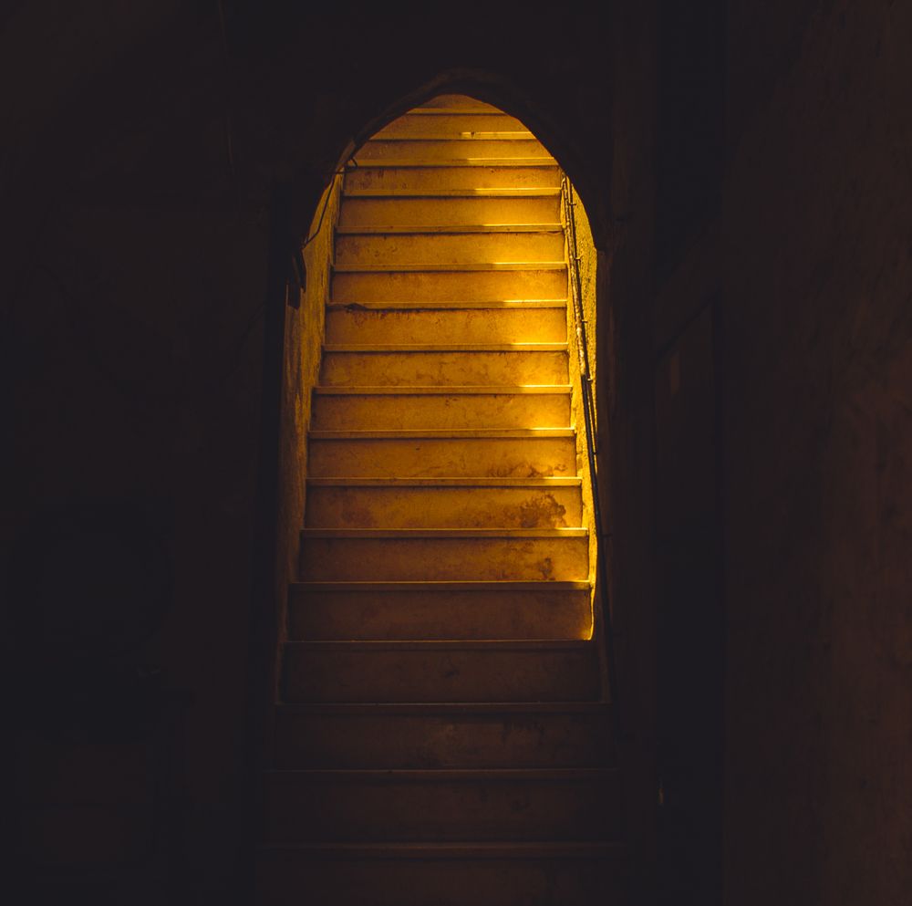 Золотая лестница жизни