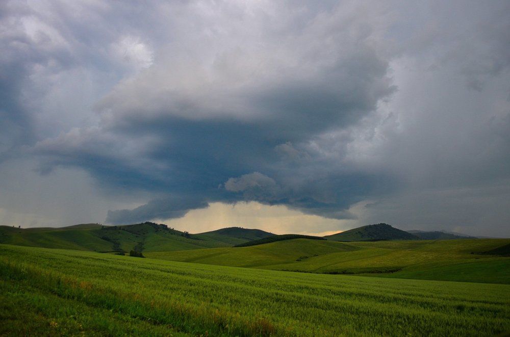 Перед грозой