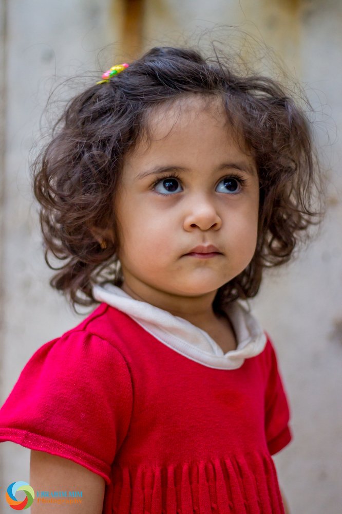 Photograph by ابراهیم معتمد