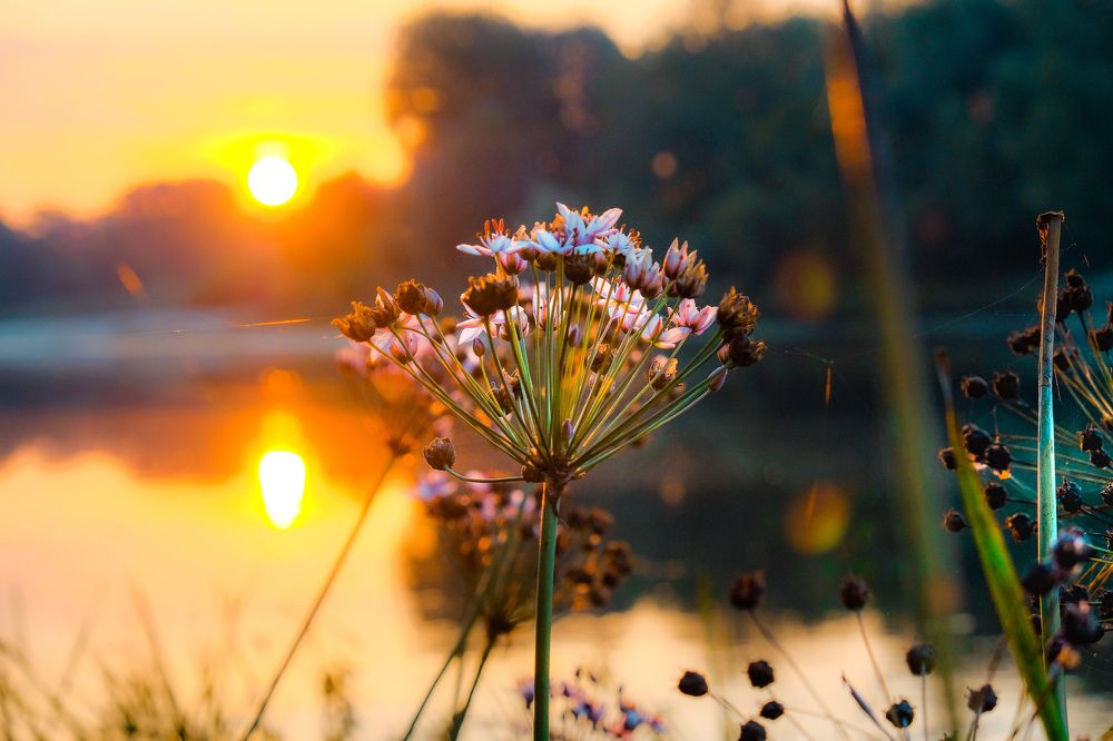 Photograph by Григорий