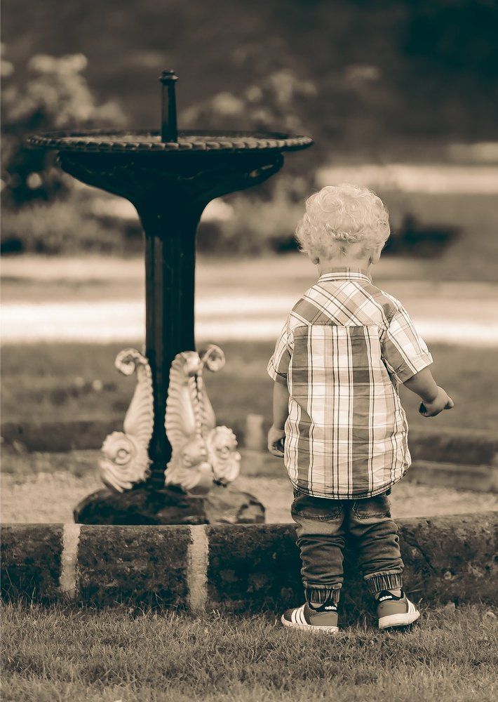 в мире интересного