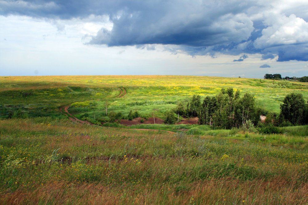 Родные просторы