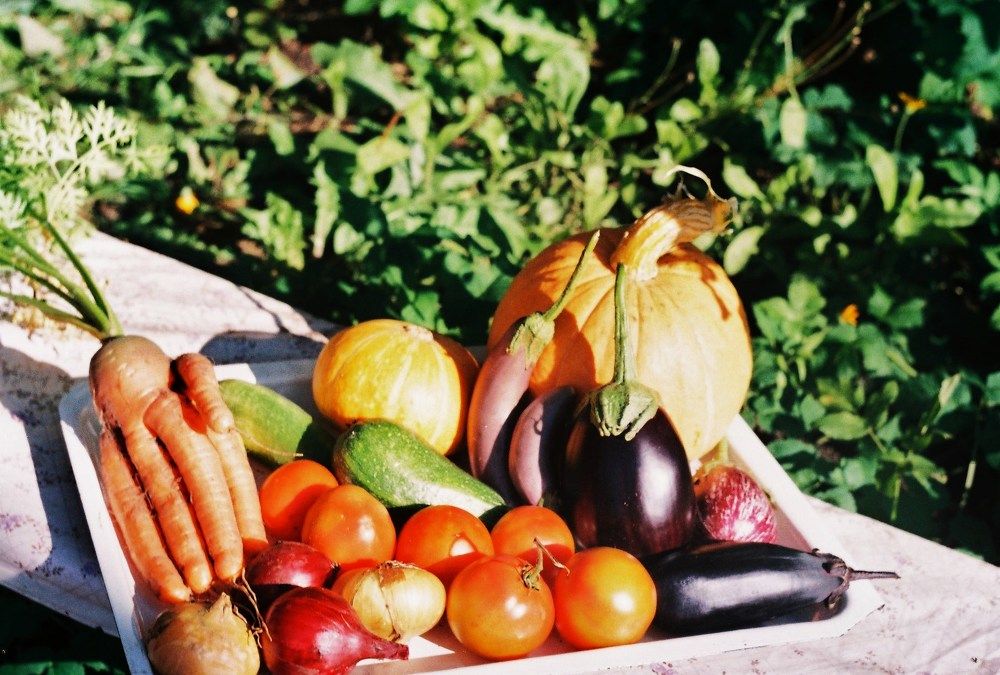 Натюрморт (овощи)