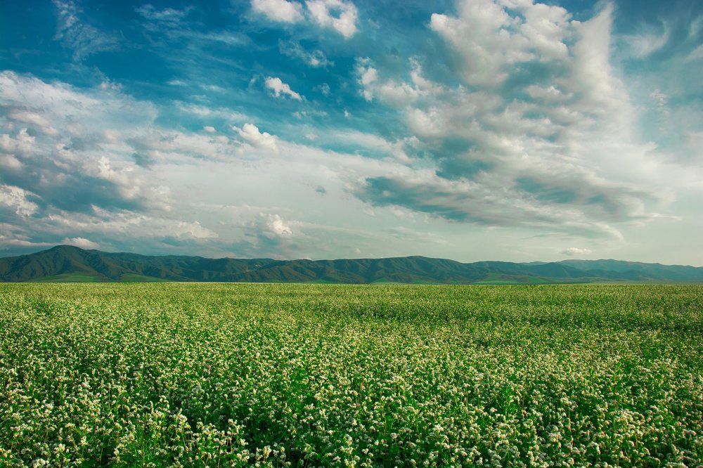 Предгорье