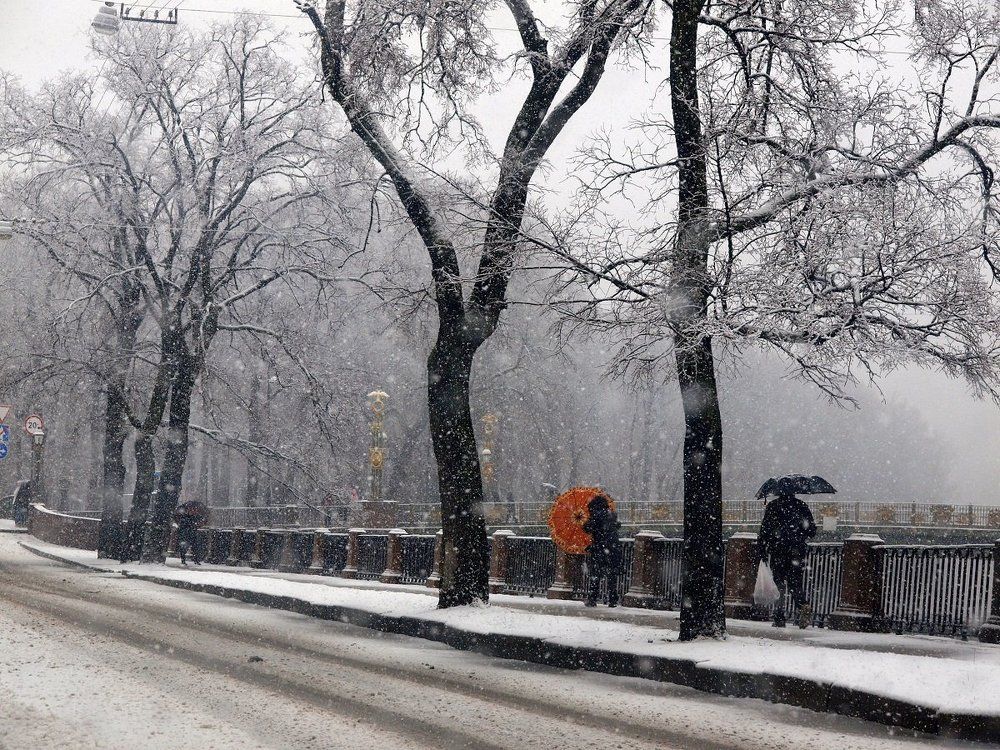 Приключения петербургской весны.
