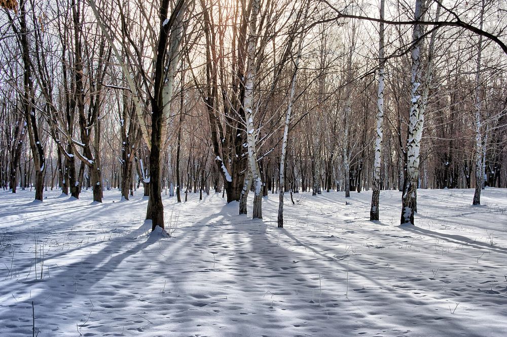Тени не исчезают в полдень