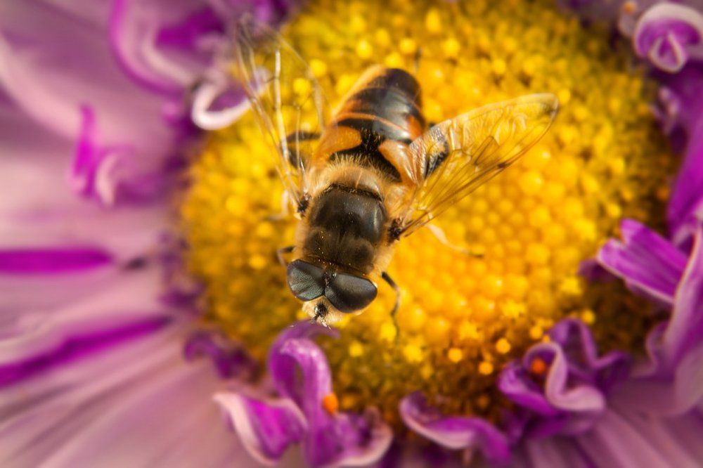 К взлёту готов!