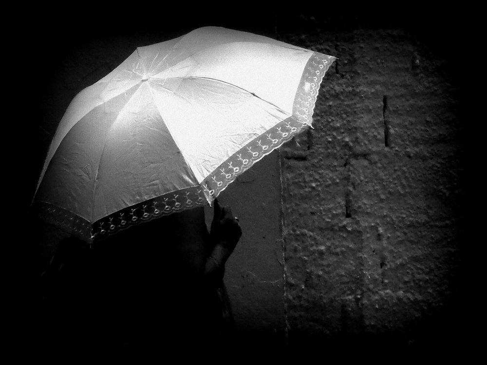 The umbrella