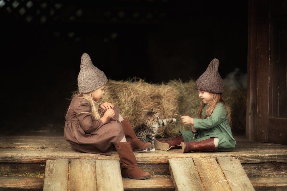 Игры с котенком