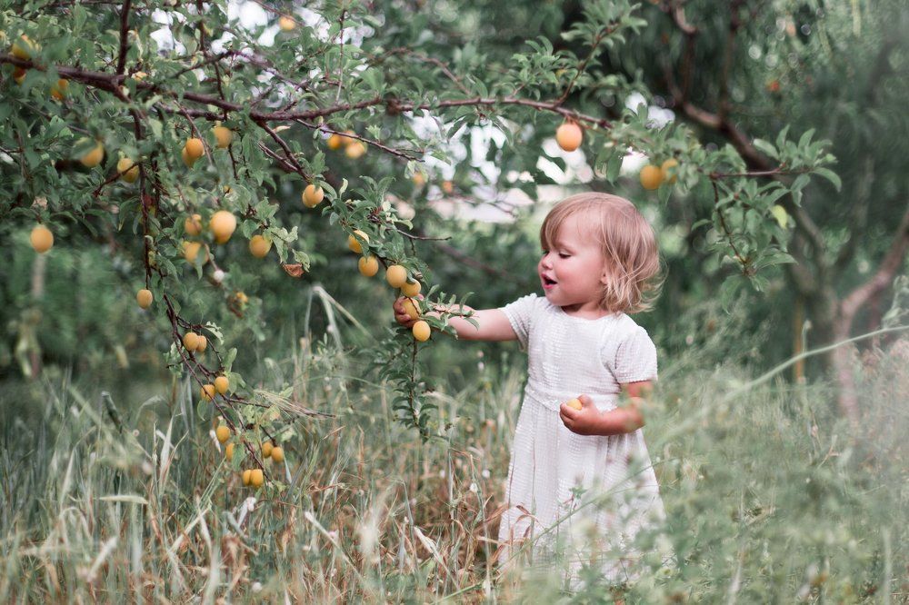 Photograph by Яна Алекперова