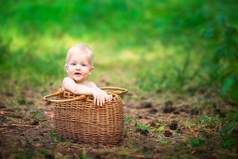 Нашли в корзинке)