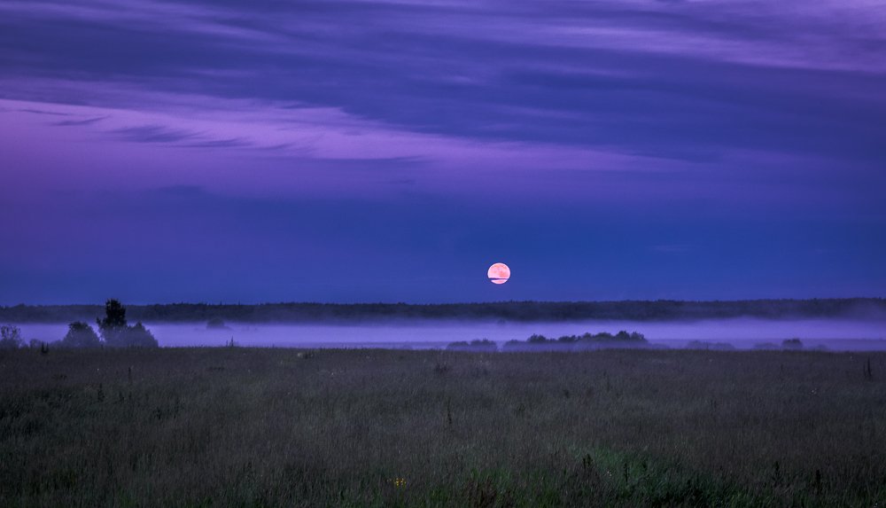 Опускается туман на луга