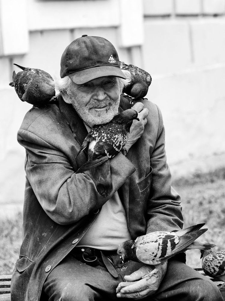 он просто кормит голубей...
