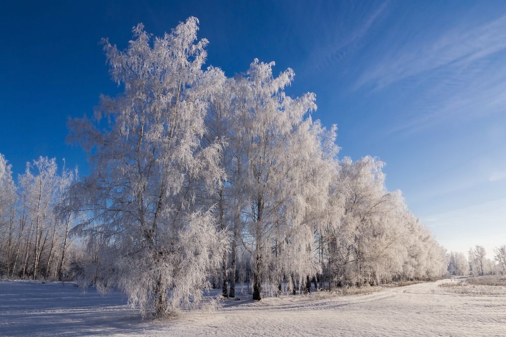 Зимний пейзаж...