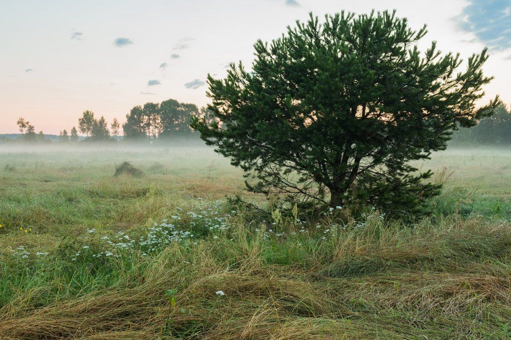 Photograph by Максим Осипов