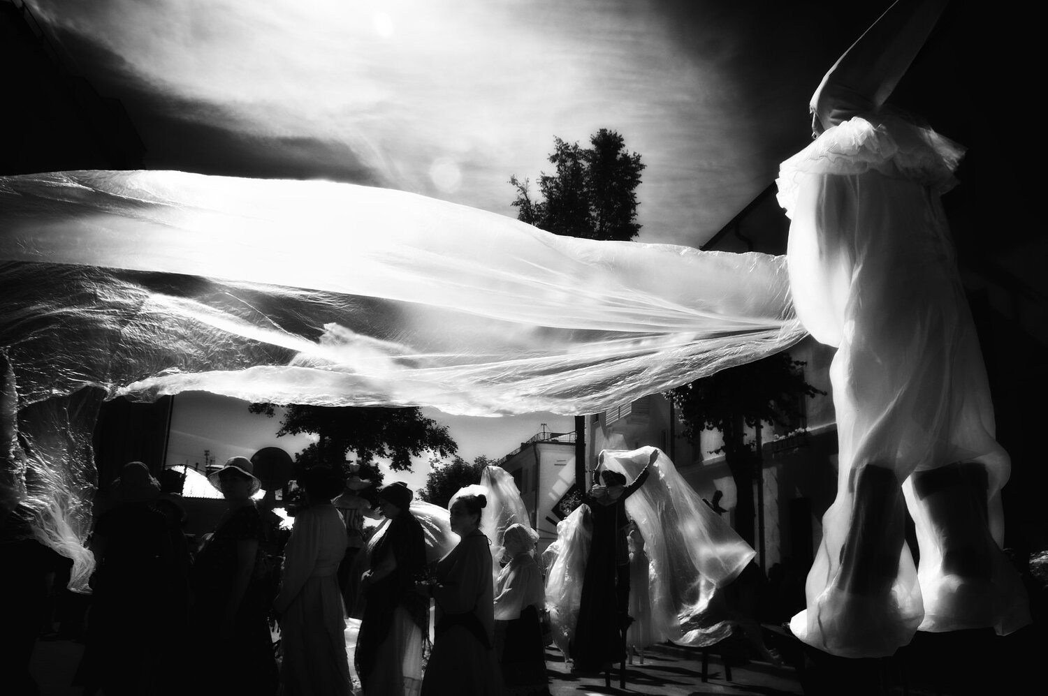 Photo #1946784