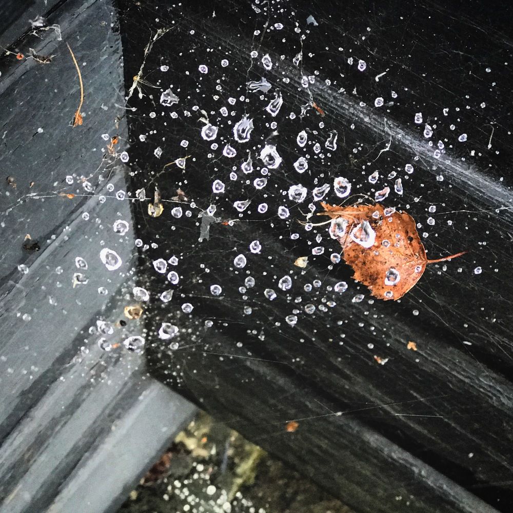 Diamonds on the spiderweb