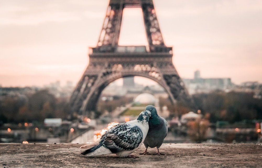 Beautiful Paris