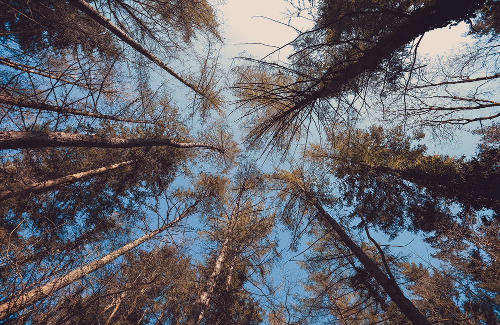 окно в небо