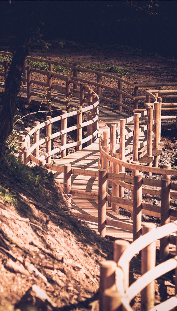 дорога жизни