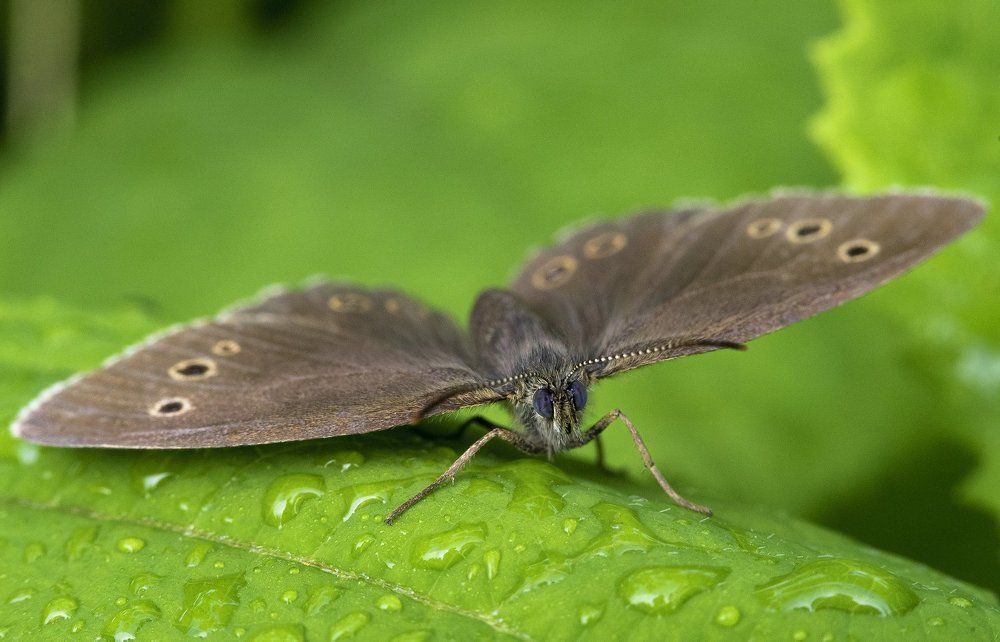 Photograph by Andrey Rut