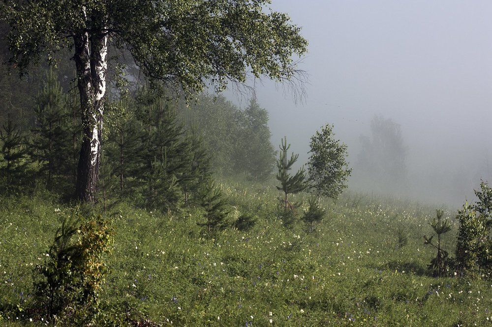 Photograph by Альбина Хакимова