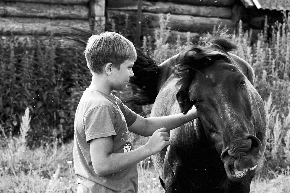 Photograph by Альбина Хакимова