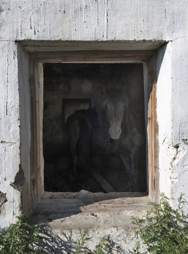 Photograph by Маргарита Фискина