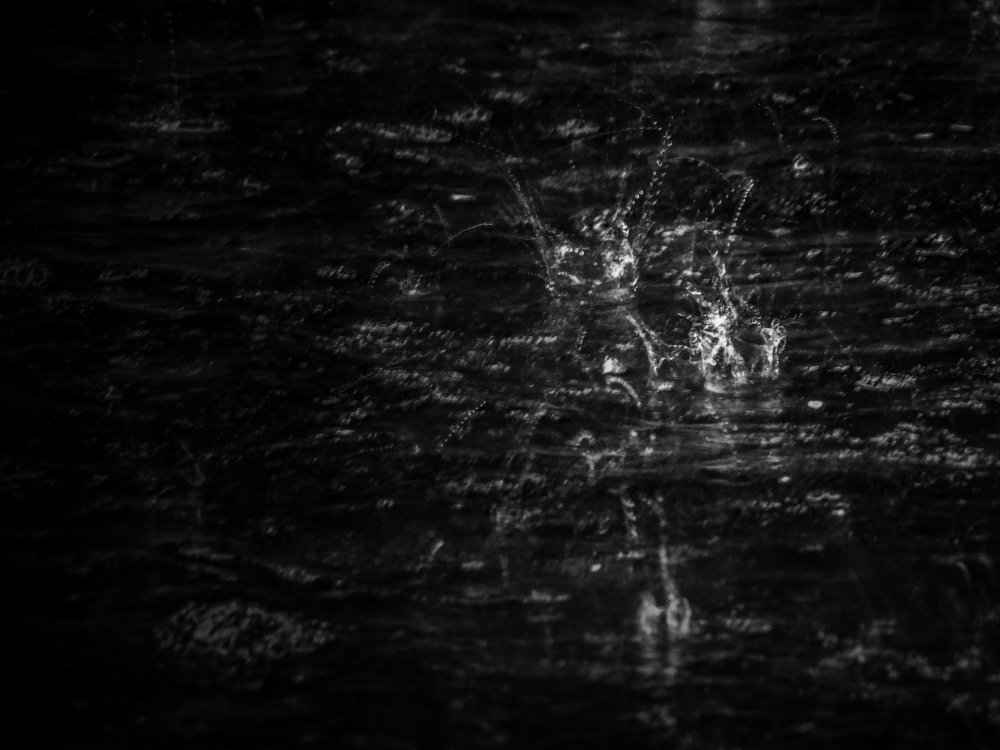 Photo #1947413