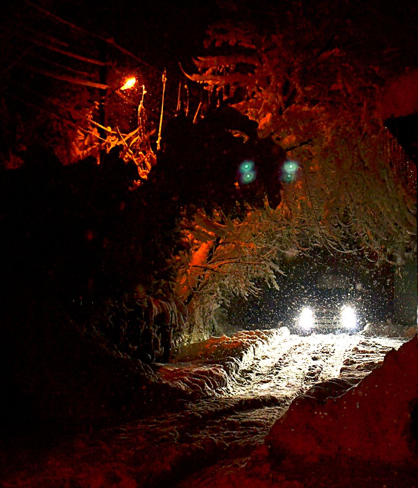 Through the night...