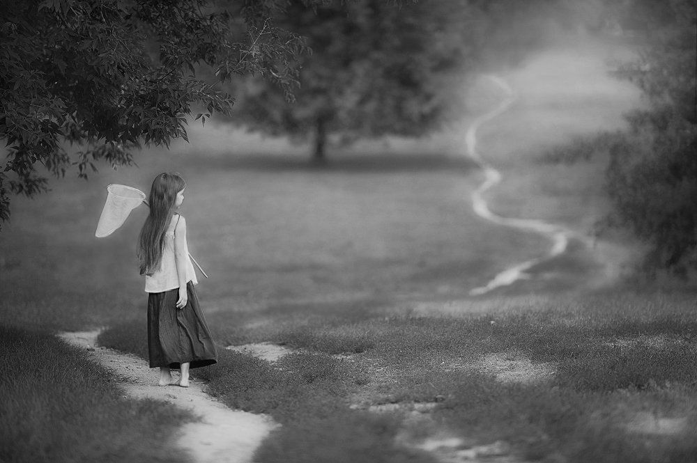 За бабочкой