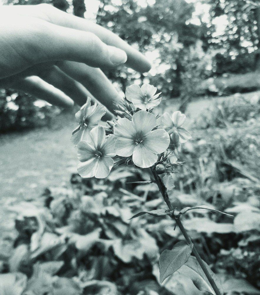 Touch the beautiful \\\ Коснутся прекрасного