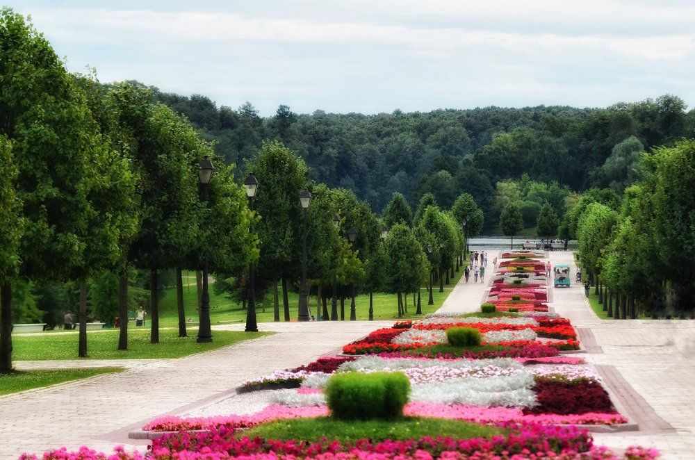 Photograph by Алексей Фомичев