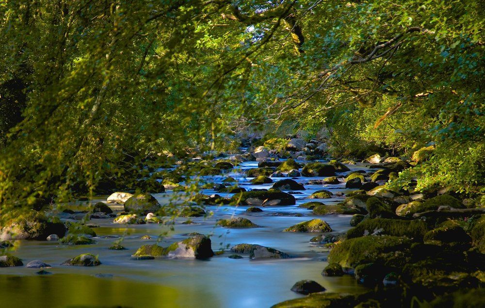 Afon river