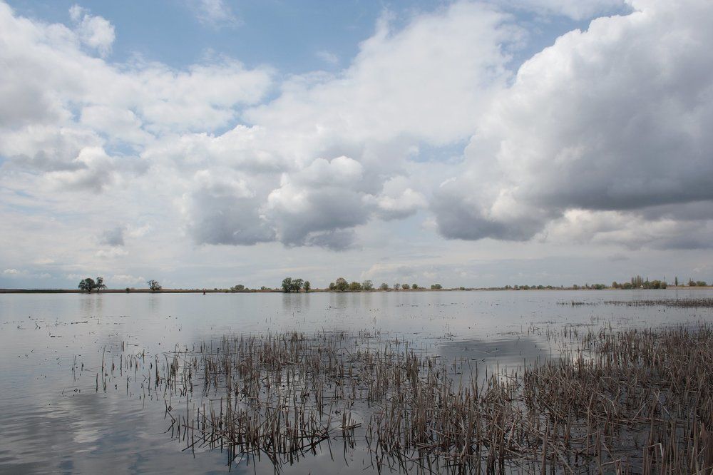 Весенняя река.