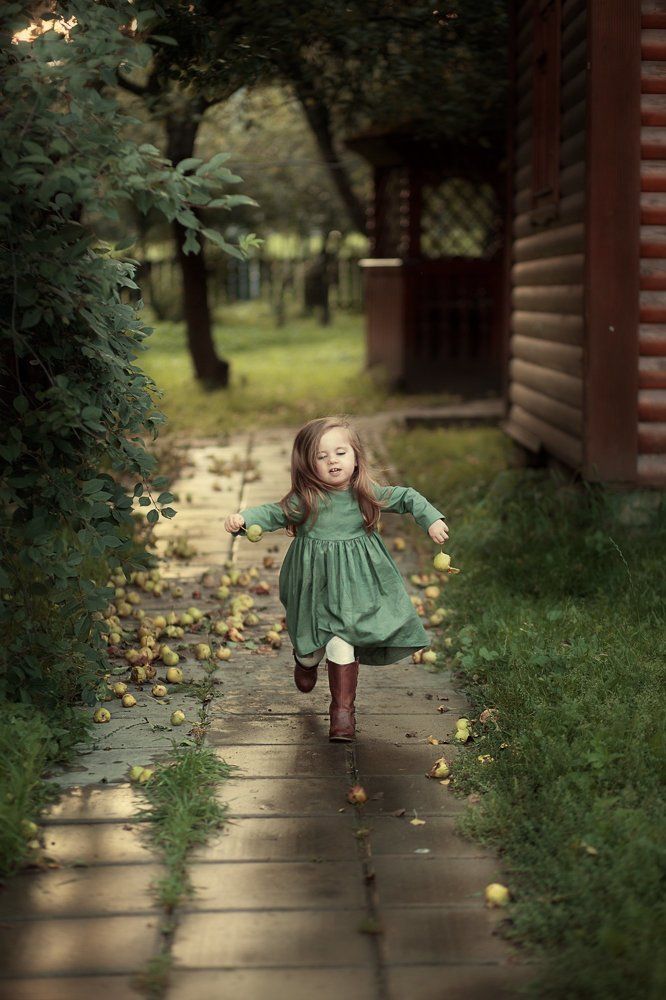 Урожай яблок