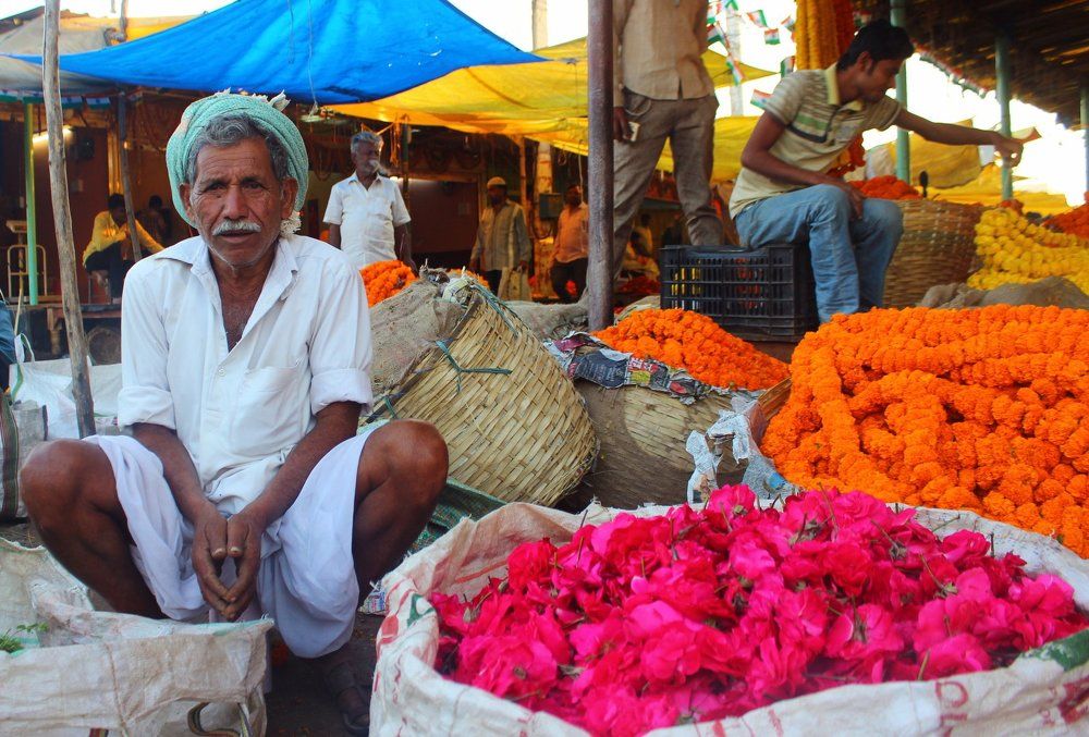 Wrinkles are the survival lines of life...!