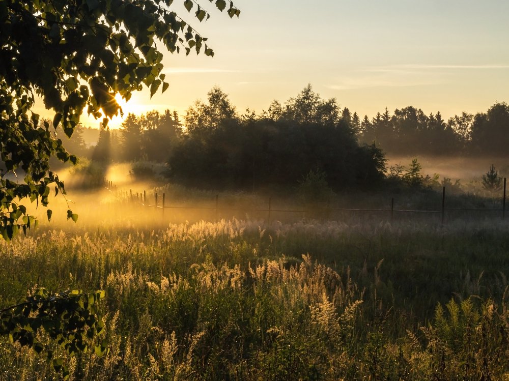 сквозь туман
