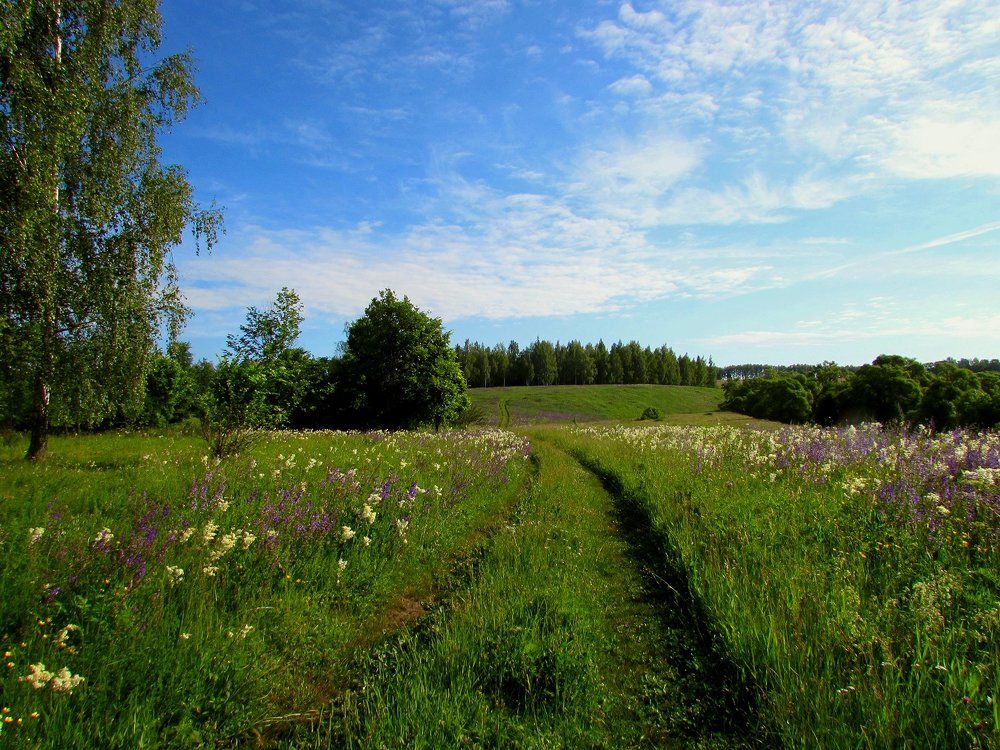вдоль дороги, уходящей вдаль....